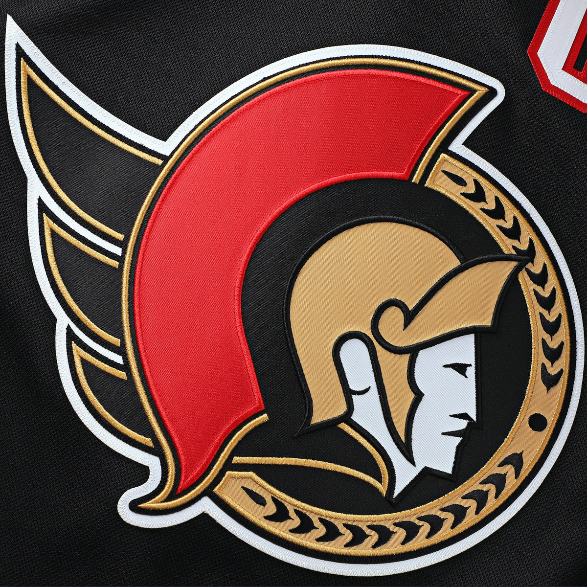Ottawa Senators Fanatics Black Home Premium Custom Jersey